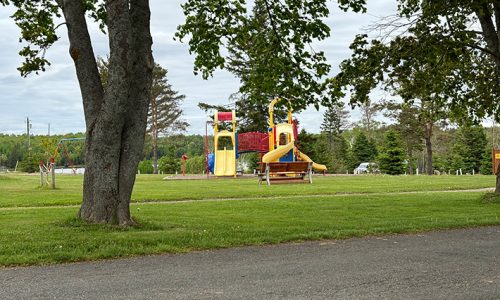 IMG_3934